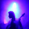 the bassist