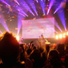 the band in concert
