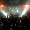 the audience